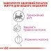 Молоко для новонароджених кошенят ROYAL CANIN BABYCAT MILK 0.3 кг