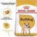 Корм для собак породи Англійський бульдог ROYAL CANIN BULLDOG ADULT 3 кг
