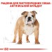 Корм для собак породи Англійський бульдог ROYAL CANIN BULLDOG ADULT 3 кг