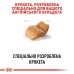 Корм для собак породи Англійський бульдог ROYAL CANIN BULLDOG ADULT 3 кг