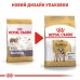 Корм для собак породи Англійський бульдог ROYAL CANIN BULLDOG ADULT 3 кг
