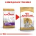 Корм для дорослих собак ROYAL CANIN MALTESE ADULT 1.5 кг