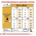 Корм для дорослих собак породи Бігль ROYAL CANIN BEAGLE ADULT 3 кг
