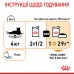 Вологий корм для дорослих котів ROYAL CANIN HAIR&SKIN CARE IN GRAVY 0.085 кг