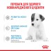 Молоко для новонароджених собак ROYAL CANIN BABYDOG MILK 2 кг